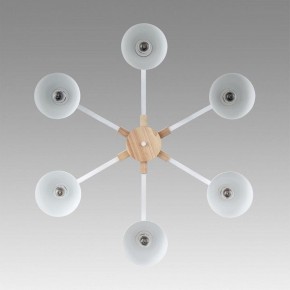 Люстра на штанге Lumion Colange 8095/6C в Талице - talica.ok-mebel.com | фото 4