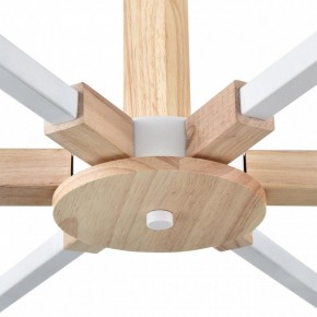 Люстра на штанге Lumion Colange 8095/6C в Талице - talica.ok-mebel.com | фото 7