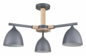 Люстра на штанге Lumion Colange 8096/3C в Талице - talica.ok-mebel.com | фото