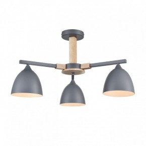 Люстра на штанге Lumion Colange 8096/3C в Талице - talica.ok-mebel.com | фото 2