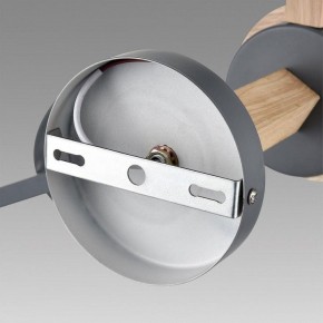 Люстра на штанге Lumion Colange 8096/3C в Талице - talica.ok-mebel.com | фото 6