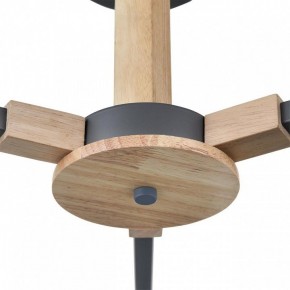 Люстра на штанге Lumion Colange 8096/3C в Талице - talica.ok-mebel.com | фото 7