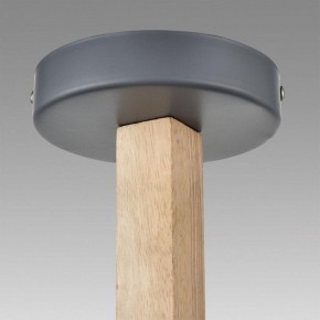 Люстра на штанге Lumion Colange 8096/3C в Талице - talica.ok-mebel.com | фото 9