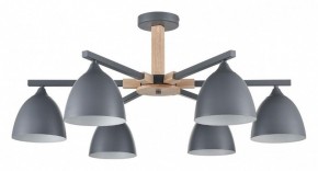 Люстра на штанге Lumion Colange 8096/6C в Талице - talica.ok-mebel.com | фото