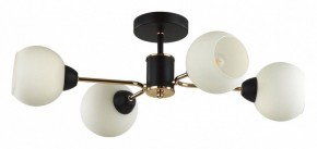 Люстра на штанге Lumion KODI 5646/4C в Талице - talica.ok-mebel.com | фото