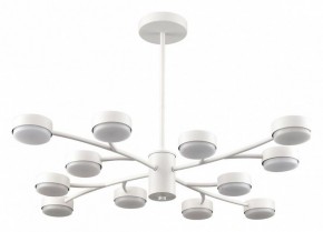 Люстра на штанге Lumion TORINA 8265/12 в Талице - talica.ok-mebel.com | фото