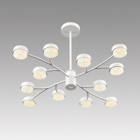 Люстра на штанге Lumion TORINA 8265/12 в Талице - talica.ok-mebel.com | фото 5