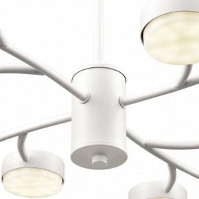 Люстра на штанге Lumion TORINA 8265/12 в Талице - talica.ok-mebel.com | фото 8