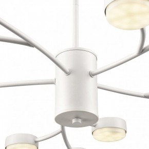 Люстра на штанге Lumion TORINA 8265/15 в Талице - talica.ok-mebel.com | фото 8