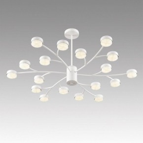 Люстра на штанге Lumion TORINA 8265/18 в Талице - talica.ok-mebel.com | фото 5