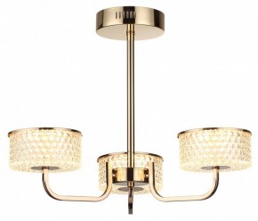 Люстра на штанге Lumion Venice 6579/40CL в Талице - talica.ok-mebel.com | фото 5