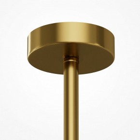 Люстра на штанге Maytoni Museo MOD436PL-05BS в Талице - talica.ok-mebel.com | фото 6