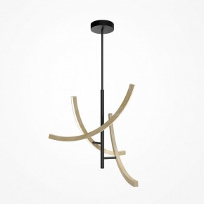 Люстра на штанге Maytoni Wabi MOD428PL-L27BK в Талице - talica.ok-mebel.com | фото 2