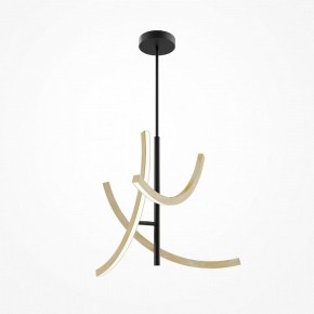 Люстра на штанге Maytoni Wabi MOD428PL-L27BK в Талице - talica.ok-mebel.com | фото 5