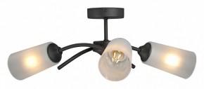 Люстра на штанге Vitaluce V2850 V2850-1/3PL в Талице - talica.ok-mebel.com | фото