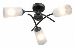Люстра на штанге Vitaluce V2850 V2850-1/3PL в Талице - talica.ok-mebel.com | фото 2