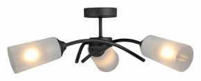 Люстра на штанге Vitaluce V2850 V2850-1/3PL в Талице - talica.ok-mebel.com | фото 3