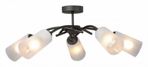 Люстра на штанге Vitaluce V2850 V2850-1/5PL в Талице - talica.ok-mebel.com | фото