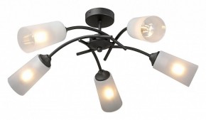 Люстра на штанге Vitaluce V2850 V2850-1/5PL в Талице - talica.ok-mebel.com | фото 2