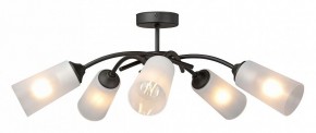 Люстра на штанге Vitaluce V2850 V2850-1/5PL в Талице - talica.ok-mebel.com | фото 3