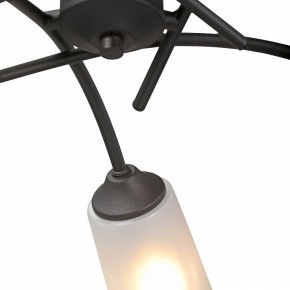 Люстра на штанге Vitaluce V2850 V2850-1/5PL в Талице - talica.ok-mebel.com | фото 6