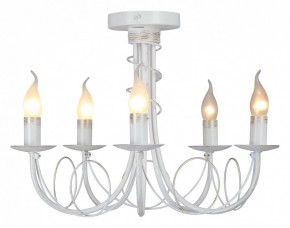 Люстра на штанге Vitaluce V3035 V3035-0/5PL в Талице - talica.ok-mebel.com | фото 2