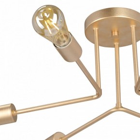 Люстра на штанге Vitaluce V3071 V3071-8/6PL в Талице - talica.ok-mebel.com | фото 6