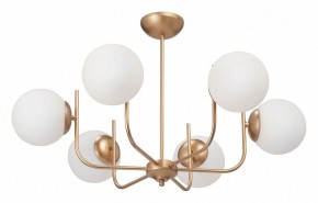 Люстра на штанге Vitaluce V39570 V39570-8/6PL в Талице - talica.ok-mebel.com | фото 2