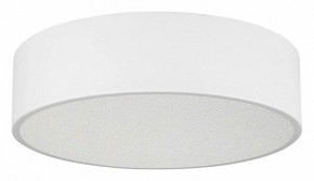 Накладной светильник Arlight TOR PILL 022103(3) в Талице - talica.ok-mebel.com | фото