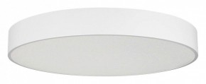 Накладной светильник Arlight TOR PILL 022132(4) в Талице - talica.ok-mebel.com | фото