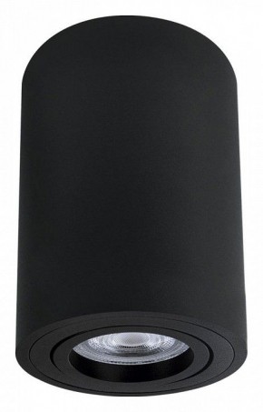 Накладной светильник Arte Lamp Sentry A1566PL-1BK в Талице - talica.ok-mebel.com | фото
