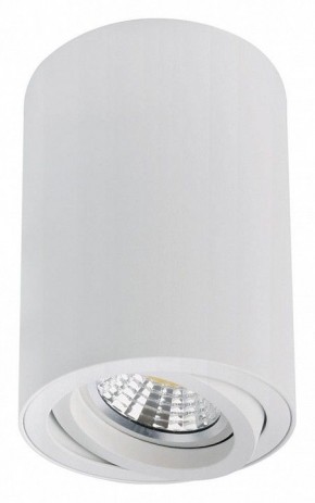 Накладной светильник Arte Lamp Sentry A1566PL-1WH в Талице - talica.ok-mebel.com | фото