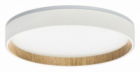 Накладной светильник Citilux Etalon CL750240 в Талице - talica.ok-mebel.com | фото