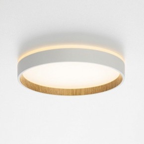 Накладной светильник Citilux Etalon CL750240 в Талице - talica.ok-mebel.com | фото 4