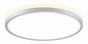 Накладной светильник Citilux NORMA CL748320 в Талице - talica.ok-mebel.com | фото