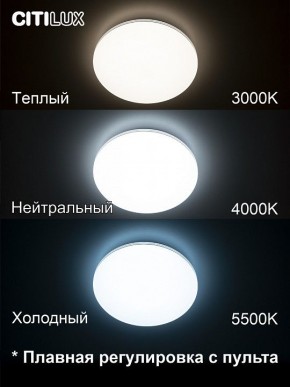 Накладной светильник Citilux Симпла CL714330G в Талице - talica.ok-mebel.com | фото 4