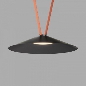 Накладной светильник Denkirs Belty Flow DK5569-BK в Талице - talica.ok-mebel.com | фото