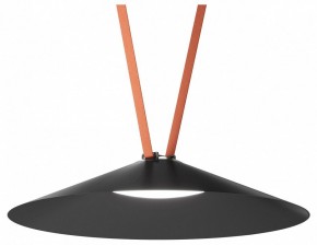 Накладной светильник Denkirs Belty Flow DK5668-BK в Талице - talica.ok-mebel.com | фото