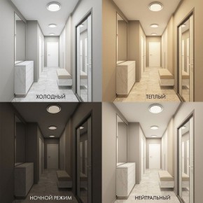 Накладной светильник Denkirs Cany DK6516-WH в Талице - talica.ok-mebel.com | фото 2
