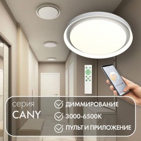 Накладной светильник Denkirs Cany DK6516-WH в Талице - talica.ok-mebel.com | фото 4