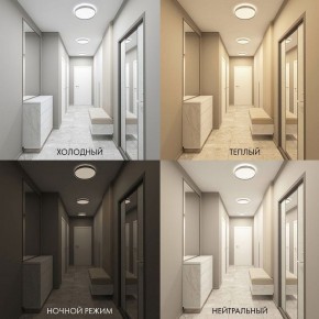 Накладной светильник Denkirs PLATO DK6510-WH в Талице - talica.ok-mebel.com | фото 2