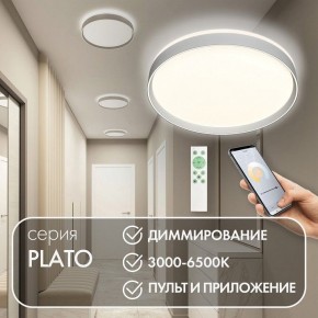 Накладной светильник Denkirs PLATO DK6511-WH/1 в Талице - talica.ok-mebel.com | фото 4