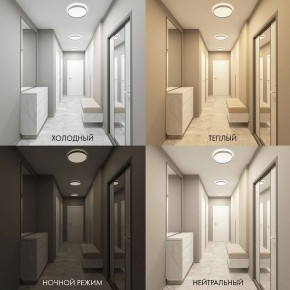 Накладной светильник Denkirs PLATO DK6511-WH/1 в Талице - talica.ok-mebel.com | фото 5