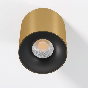 Накладной светильник Elektrostandard Primo 25116/LED в Талице - talica.ok-mebel.com | фото 2