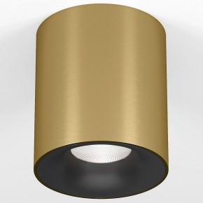 Накладной светильник Elektrostandard Primo 25116/LED в Талице - talica.ok-mebel.com | фото 2