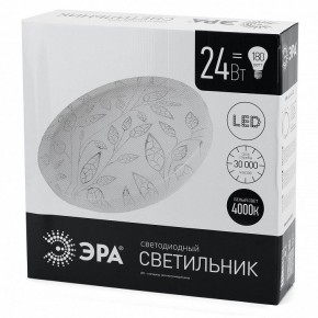 Накладной светильник Эра Классик SPB-6-24-4K (C) в Талице - talica.ok-mebel.com | фото 4