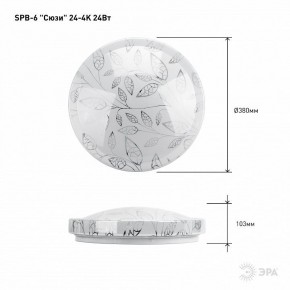 Накладной светильник Эра Классик SPB-6-24-4K (C) в Талице - talica.ok-mebel.com | фото 6