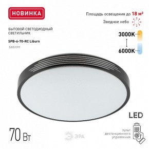 Накладной светильник Эра Классик SPB-6-70-RC Liburn в Талице - talica.ok-mebel.com | фото 10