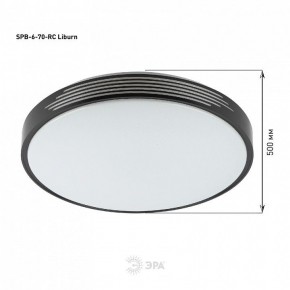 Накладной светильник Эра Классик SPB-6-70-RC Liburn в Талице - talica.ok-mebel.com | фото 13
