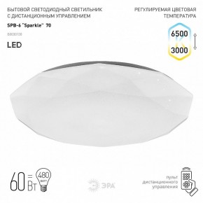 Накладной светильник Эра Классик SPB-6-70-RC Sparkle в Талице - talica.ok-mebel.com | фото 2